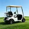 Custom 2 Seater Electric Golf Cart Manufacturer & Wholesale