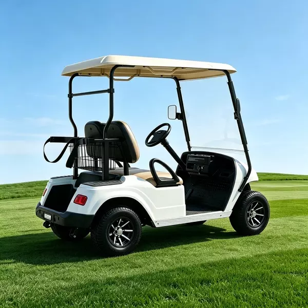 Custom 2 Seater Electric Golf Cart Manufacturer & Wholesale