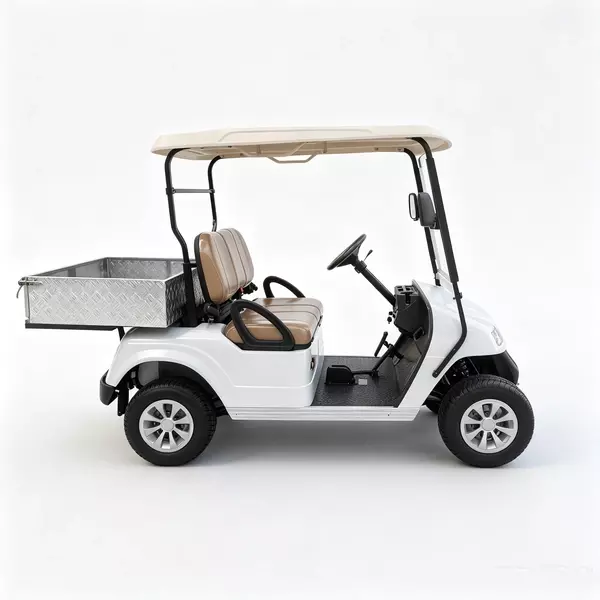 CUstom 2-Seater Electric Utility Golf Cart with Aluminum Cargo Bed 