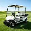 4 Passenger Utility Electric Golf Cart with Cargo Bed | Manufacturer