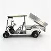 2-Seater Electric Cargo Golf Cart Factory & OEM Supplier