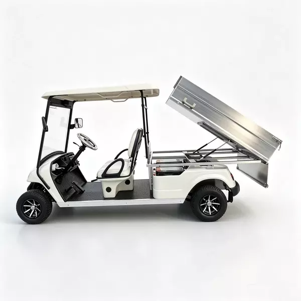 2-Seater Electric Cargo Golf Cart Factory & OEM Supplier