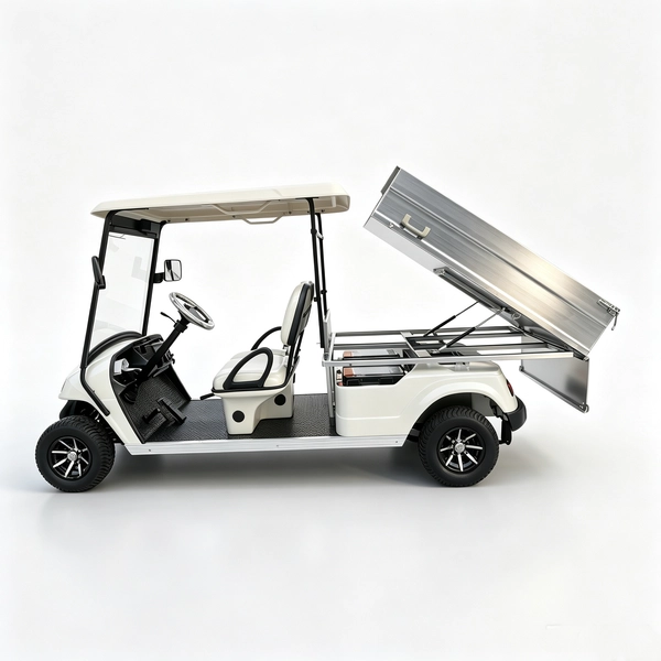 2-Seater Electric Cargo Golf Cart Factory & OEM Supplier
