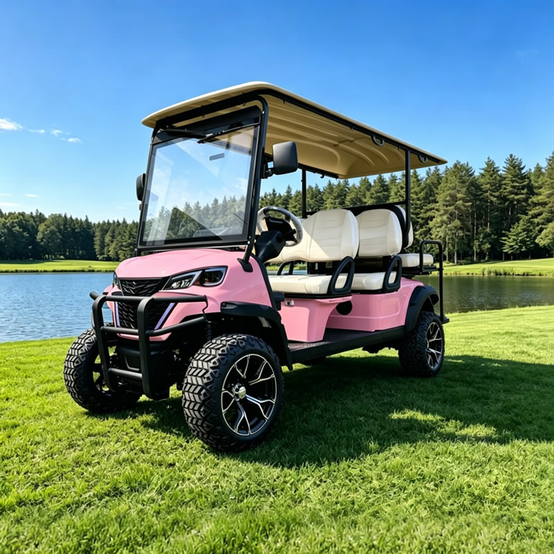 Custom Pink Golf Cart