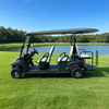 2+4 6 seater electric golf cart from China manufacturer - Eagle Golf Cart