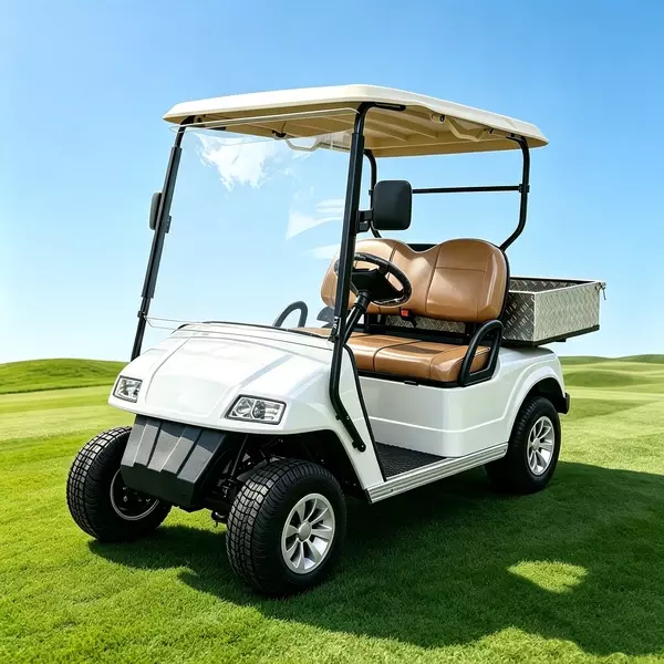 CUstom 2-Seater Electric Utility Golf Cart with Aluminum Cargo Bed - EG2028H
