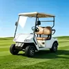 Custom 2 Seater Electric Golf Cart Manufacturer & Wholesale