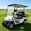 Electric mobility cart for gated community and commercial campus patrol