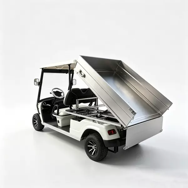 2-Seater Electric Cargo Golf Cart Factory & OEM Supplier - EG2048HCX