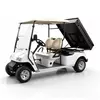 White 2-seater electric utility golf cart with black rear cargo bed for commercial use