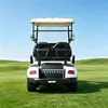 Custom 2 Seater Electric Golf Cart Manufacturer & Wholesale