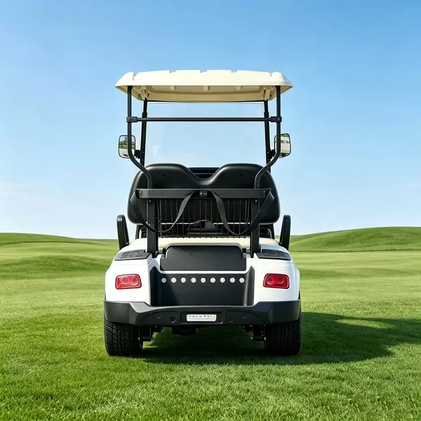 Custom 2 Seater Electric Golf Cart Manufacturer & Wholesale