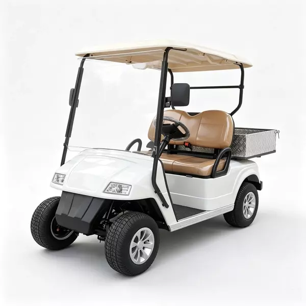 CUstom 2-Seater Electric Utility Golf Cart with Aluminum Cargo Bed 