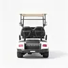 Custom 2 Seater Electric Golf Cart Manufacturer & Wholesale 