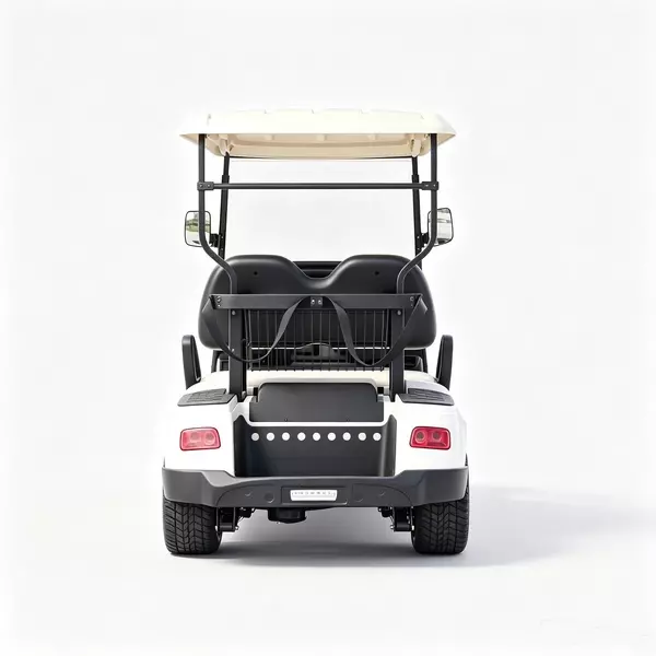Custom 2 Seater Electric Golf Cart Manufacturer & Wholesale 