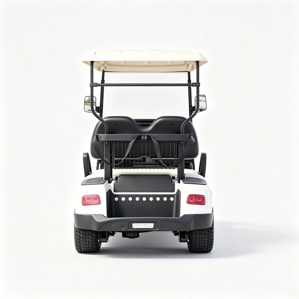 Custom 2 Seater Electric Golf Cart Manufacturer & Wholesale 