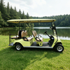 Sightseeing 6 Person Electric Buggy Golf Cart - Eagle Golf Cart