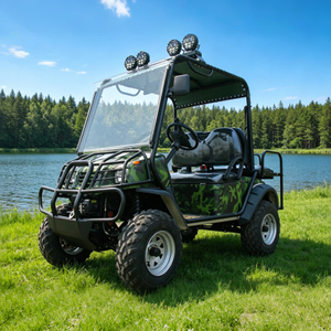 Electric 4x4 4wd Offroad Off Road Hunting Golf Cart - Eagle